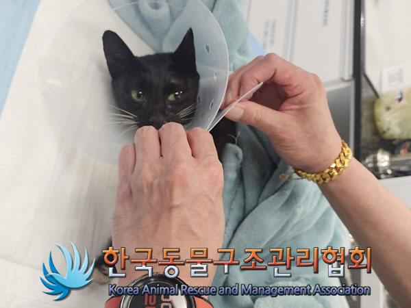 한국동물구조관리협회_411323202300426